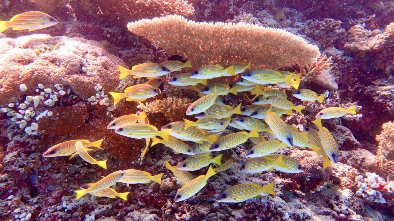 Wow Inn Keyodhoo Keyodhoo  エクステリア 写真