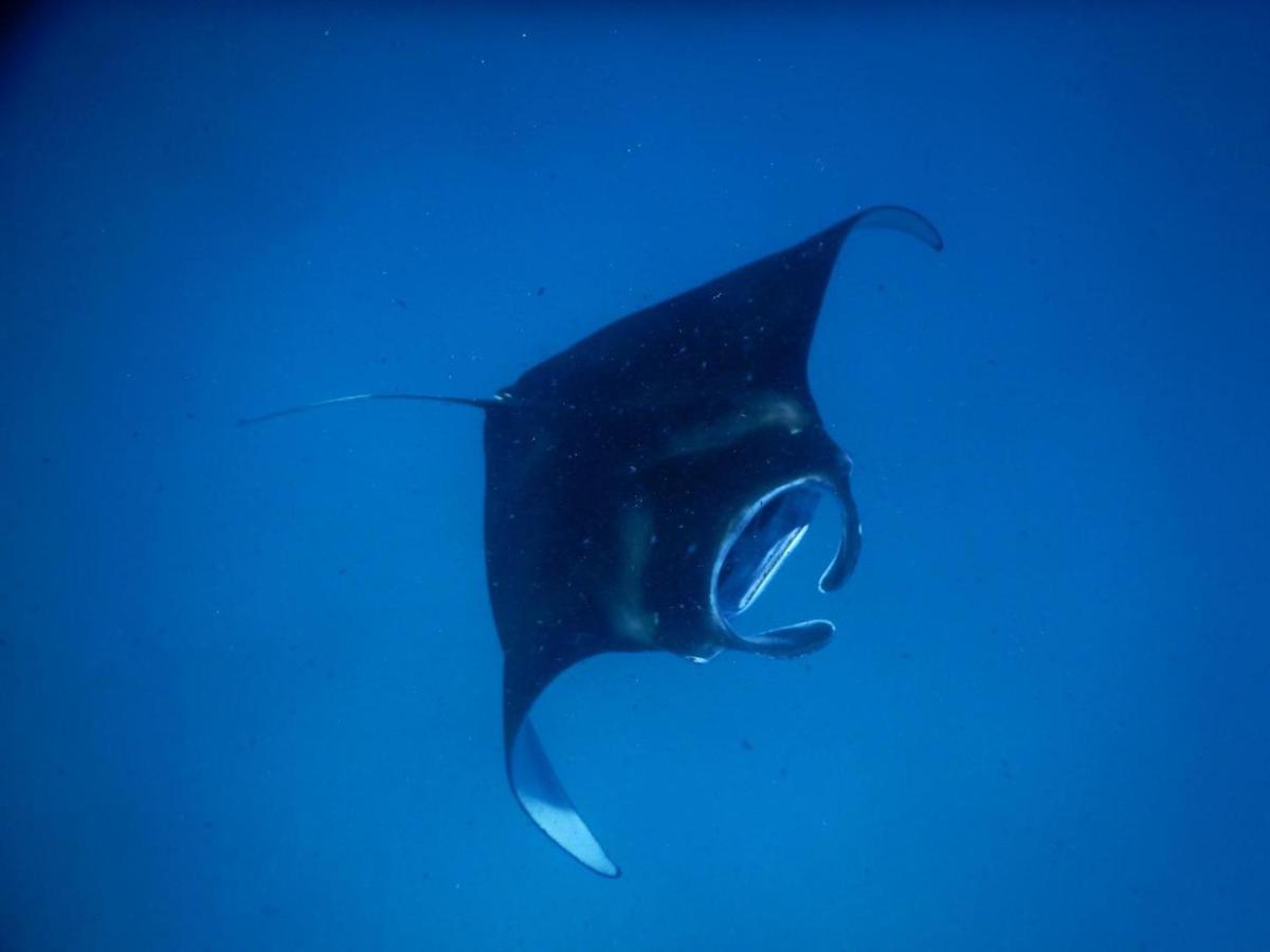 Wow Inn Keyodhoo Keyodhoo  エクステリア 写真