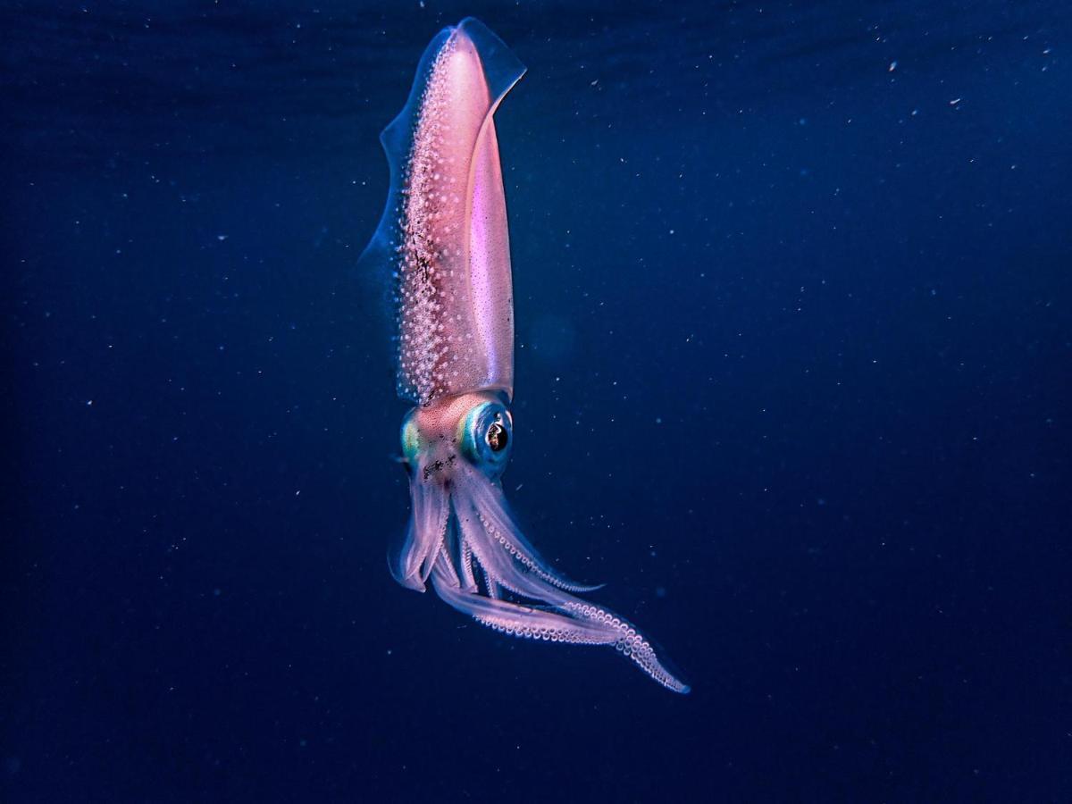 Wow Inn Keyodhoo Keyodhoo  エクステリア 写真